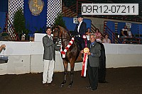 09r12-07211 proof