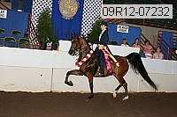 09r12-07232 proof