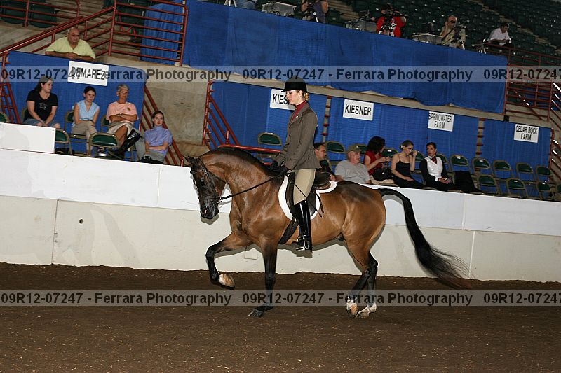 Proof 09r12-07247