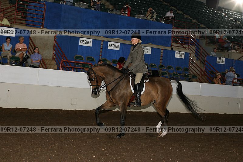 Proof 09r12-07248
