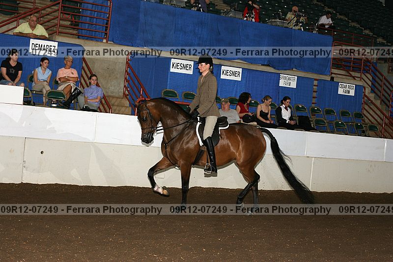 Proof 09r12-07249