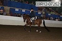09r12-07252 proof