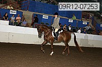 09r12-07253 proof