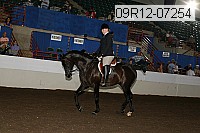 09r12-07254 proof