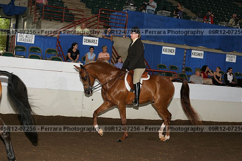 Proof 09r12-07256