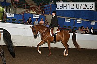 09r12-07256 proof