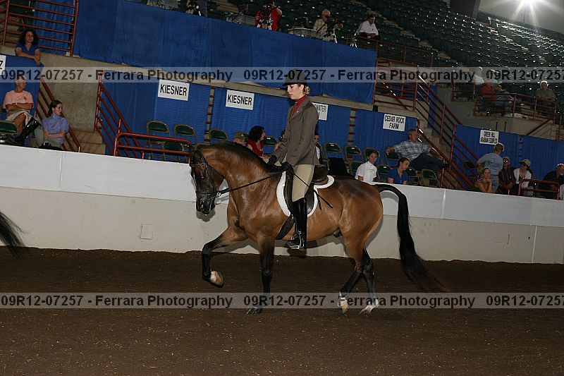 Proof 09r12-07257