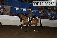 09r12-07257 proof