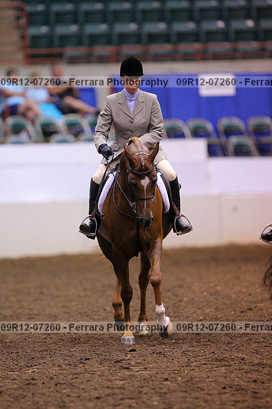 Proof 09r12-07260