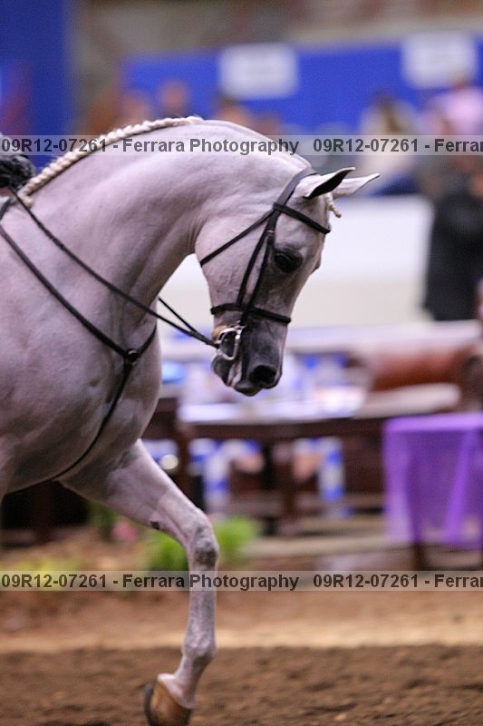 Proof 09r12-07261