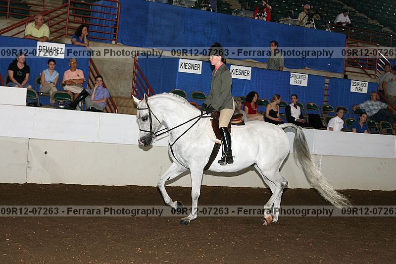 Proof 09r12-07263