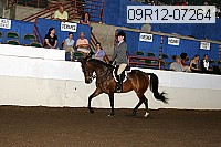 09r12-07264 proof
