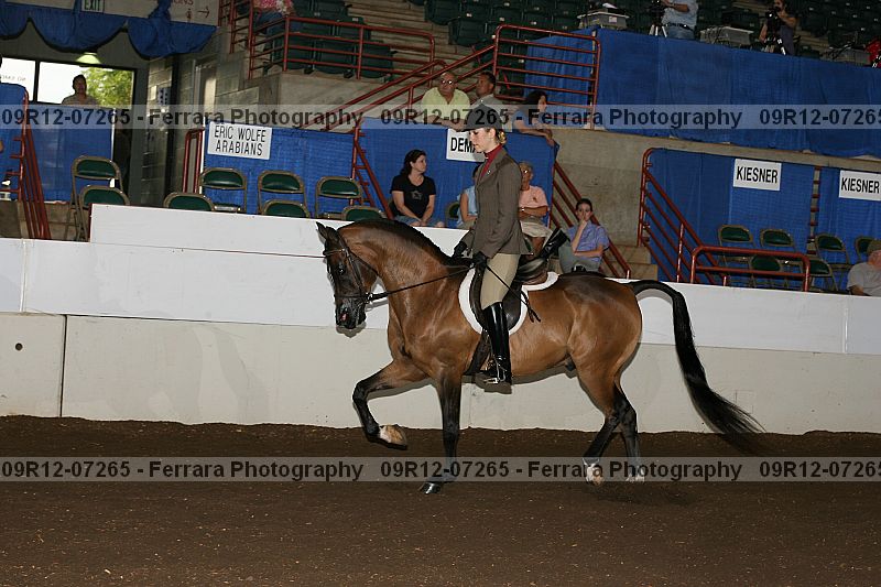 Proof 09r12-07265