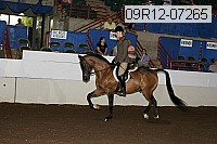 09r12-07265 proof