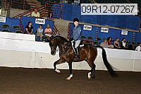 09r12-07267 proof
