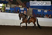 09r12-07268 proof