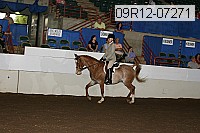 09r12-07271 proof
