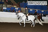 09r12-07272 proof