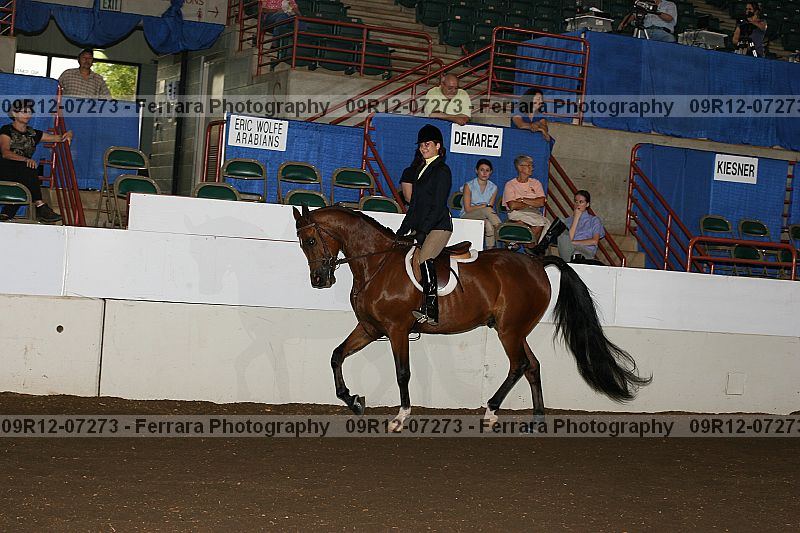 Proof 09r12-07273