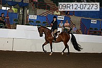 09r12-07273 proof