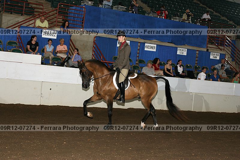 Proof 09r12-07274