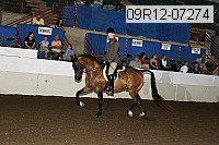 09r12-07274 proof