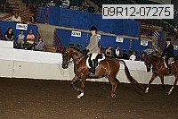 09r12-07275 proof