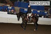 09r12-07276 proof