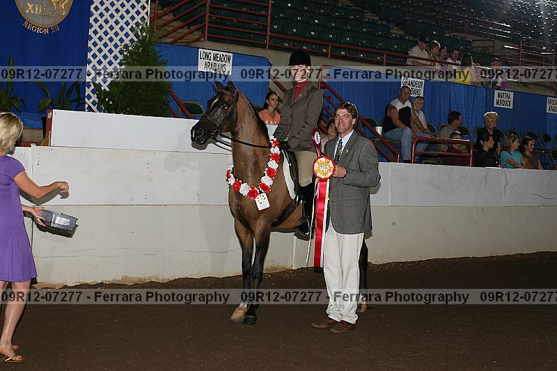 Proof 09r12-07277