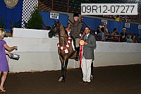 09r12-07277 proof