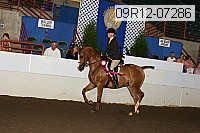 09r12-07286 proof
