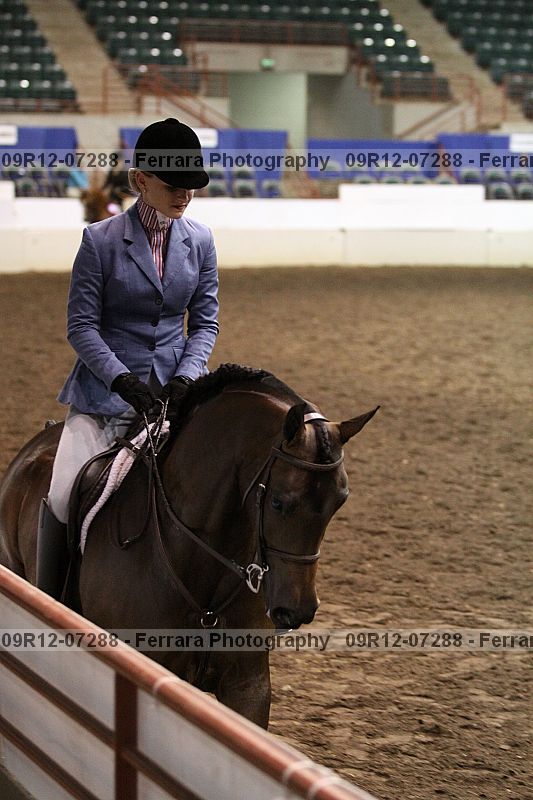 Proof 09r12-07288