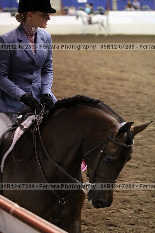 Proof 09r12-07289