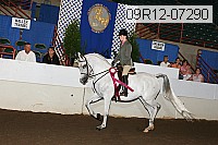 09r12-07290 proof