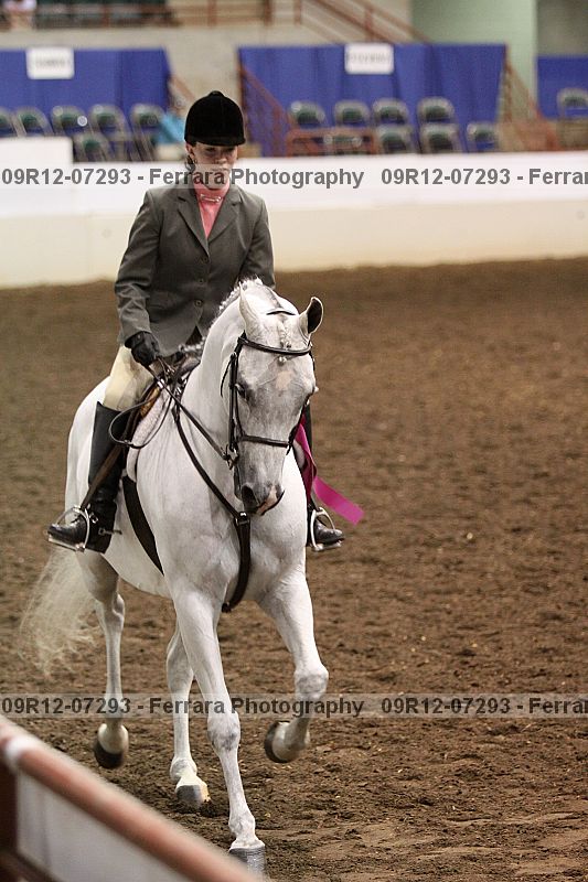 Proof 09r12-07293