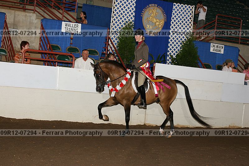 Proof 09r12-07294