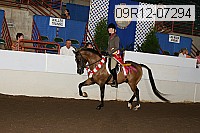 09r12-07294 proof