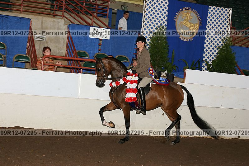 Proof 09r12-07295