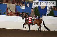 09r12-07295 proof