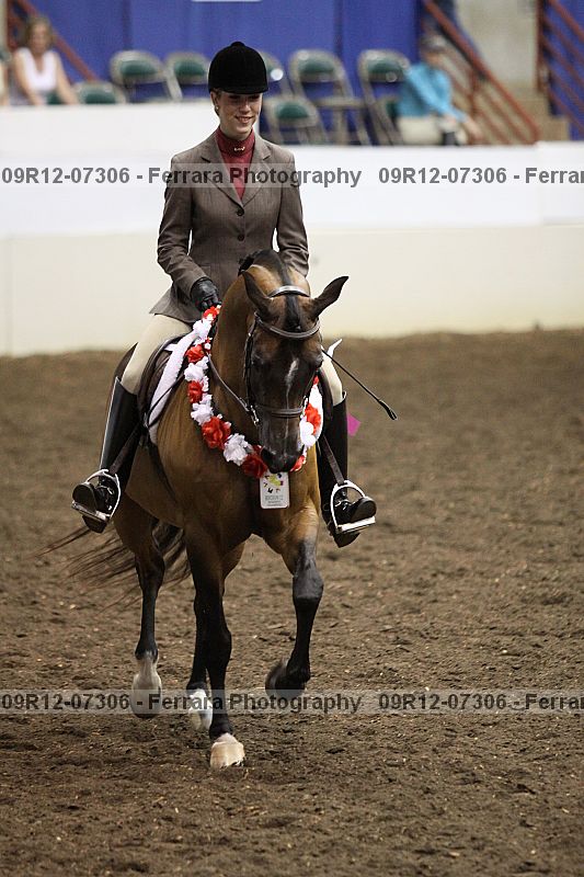 Proof 09r12-07306