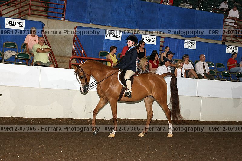 Proof 09r12-07366