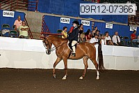 09r12-07366 proof