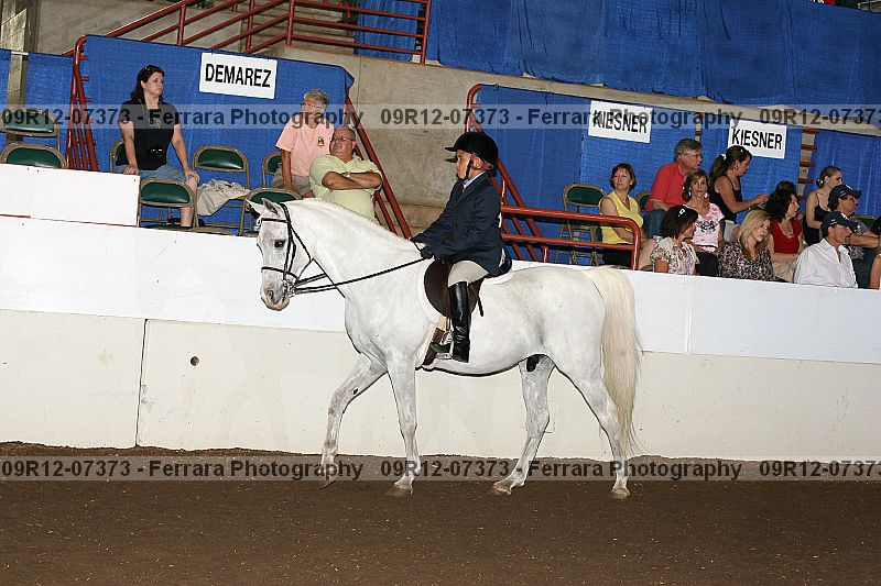 Proof 09r12-07373