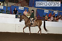 09r12-07375 proof
