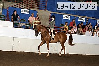 09r12-07376 proof