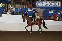 09r12-07381 proof