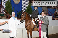 09r12-07385 proof