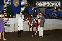 09r12-07396 proof
