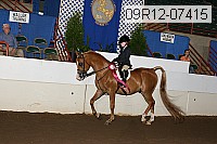 09r12-07415 proof