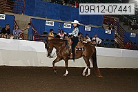 09r12-07441 proof
